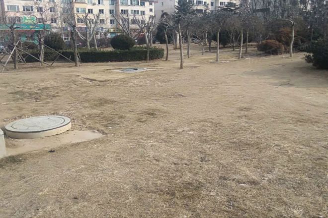 帝柏湾实景图