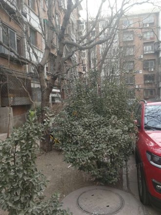 泥洼路5号院实景图