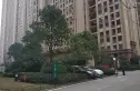 平安光谷春天实景图