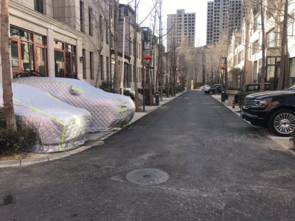 江南山水别墅实景图