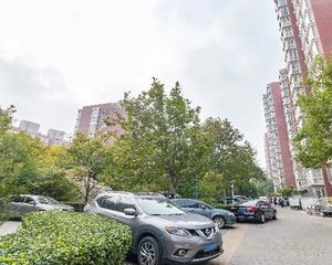 全明格局,高楼层,视野好,无遮挡