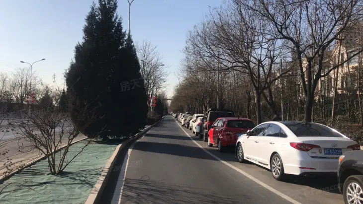 江南山水别墅实景图