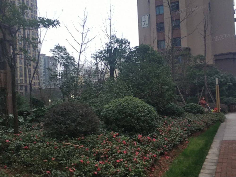 小区相关图