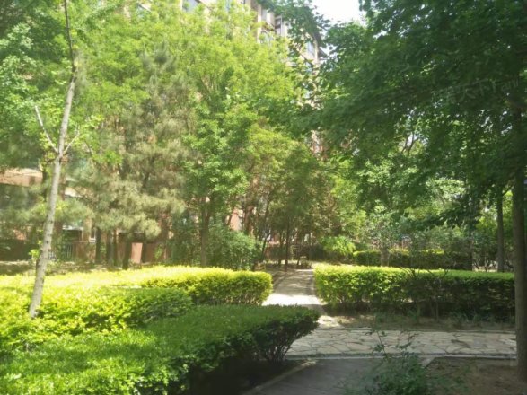 奥林匹克花园二期实景图