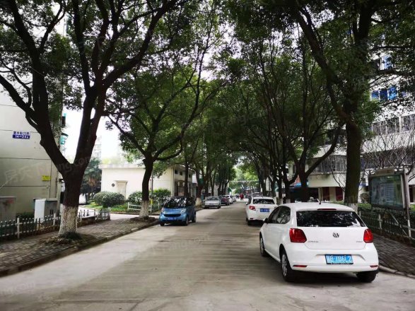 南塘花园实景图