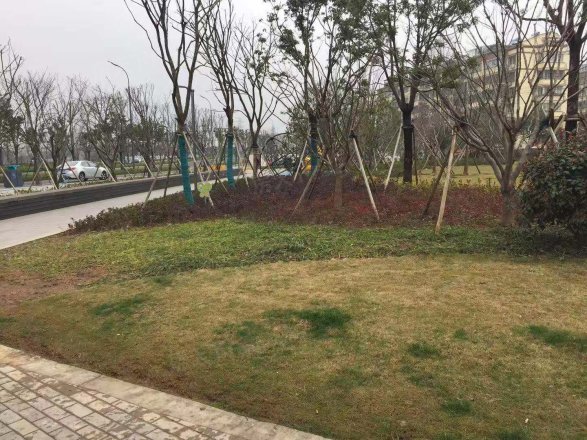 春城花园实景图