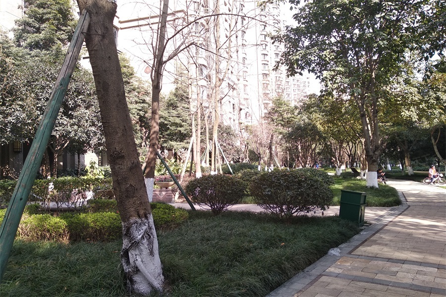 实景图