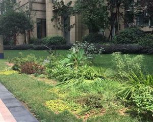 中信城左岸 2室1厅 南