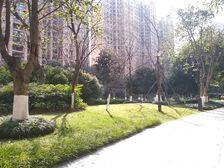 中海城南一号一期7室2厅东南
