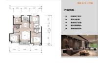 洋房135平米户型