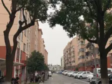 通园三房新装修 保养好 三房朝南小区前排