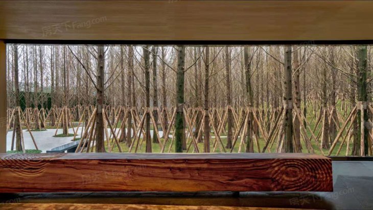 万科森林公园实景图