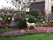 佳兆业上品雅园 4室1厅 南 北