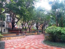 外国语旁万科高尔夫花园 一房一厅精装修 业主诚心出售