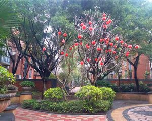 客厅看花园安静,装修保养好,价格好!