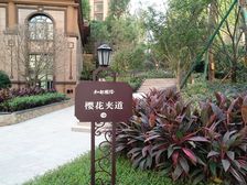 交通便利 小区环境干净舒适 适合居住