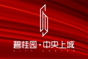 碧桂园·中央上城LOGO600×400