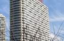 方远滨江国际实景图