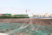 金楠城