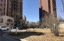君悦花苑实景图