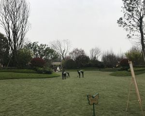 恒大西辰绿洲3室2厅北