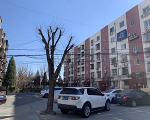 铁路宿舍精致温馨的南向一居室