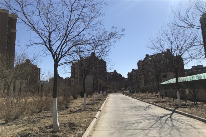 君悦花苑实景图