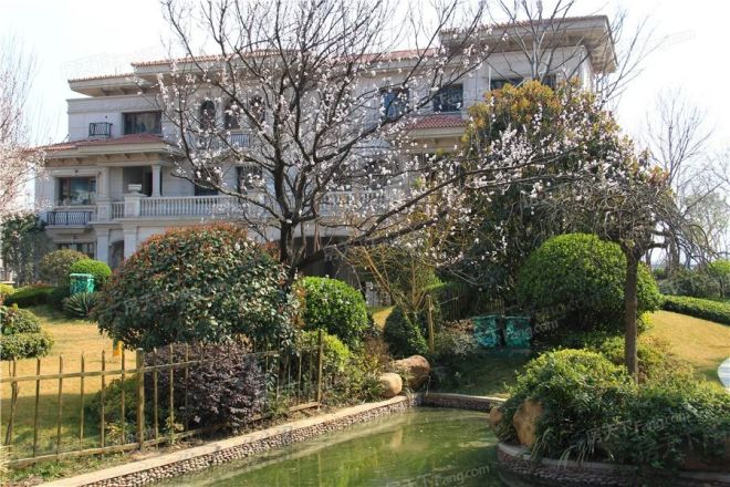 洛阳碧桂园别墅实景图