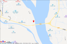 中南滨江国际电子地图