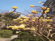 罗福宫好房全天候采光房东换房诚心卖