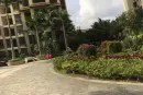 海云轩实景图