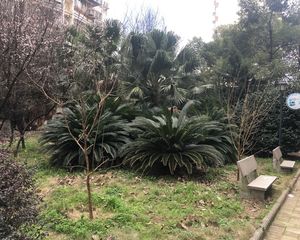 交通厅单位房,全天太阳,2梯2户,中间楼层,近地铁