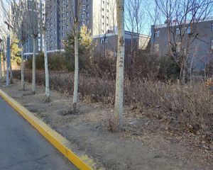 金宇钻石 总价低 能贷款 70年产权