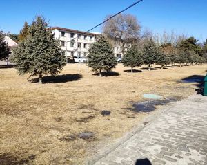 农大附 中间楼层 诚心出售 有钥匙随时看