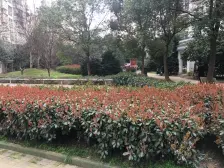 新源新河大三房2厅,户型好双阳台,房东急售