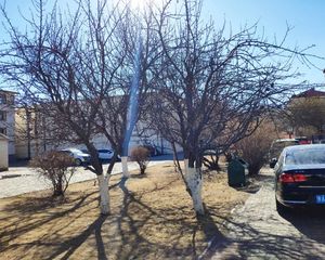 农大固定片中间楼层二楼南北通透出门树木园