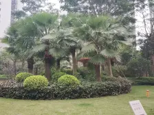 五象 航洋城 2梯4户 高层 邕江边 地铁总部基地站