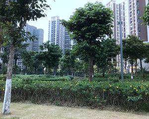 精装修正南向产权清晰配套完善品质管理环境优美