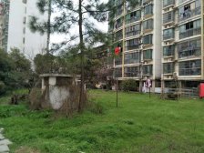 低总价,小区已经改造完了,生活氛围浓厚