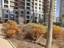 山之韵 精装修 一次未住 小高层 带100平大露台 现房