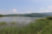 周边配套--潼湖湿地实景