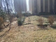 一室全明户型 采光好 户型方正