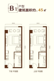 汇智五洲城2室2厅2厨2卫建面45.00㎡