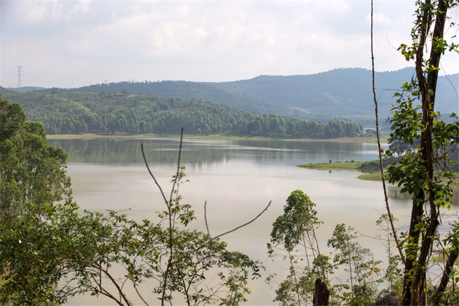 周边配套--潼湖湿地实景