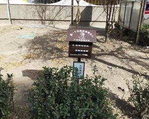 南北通透2居室楼层好精装修楼龄新