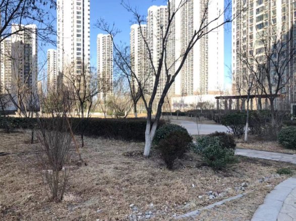 滨海智谛山实景图