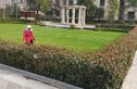 凯佳尊品国际实景图