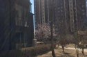 路劲世界城实景图