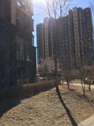 路劲世界城实景图