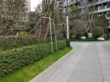 全新毛坯,诚意出售,位置安静,全朝南户型大开间~